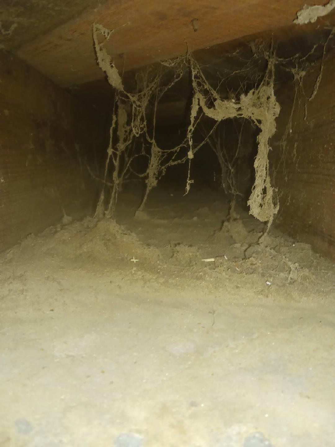 Air Duct Cleaning